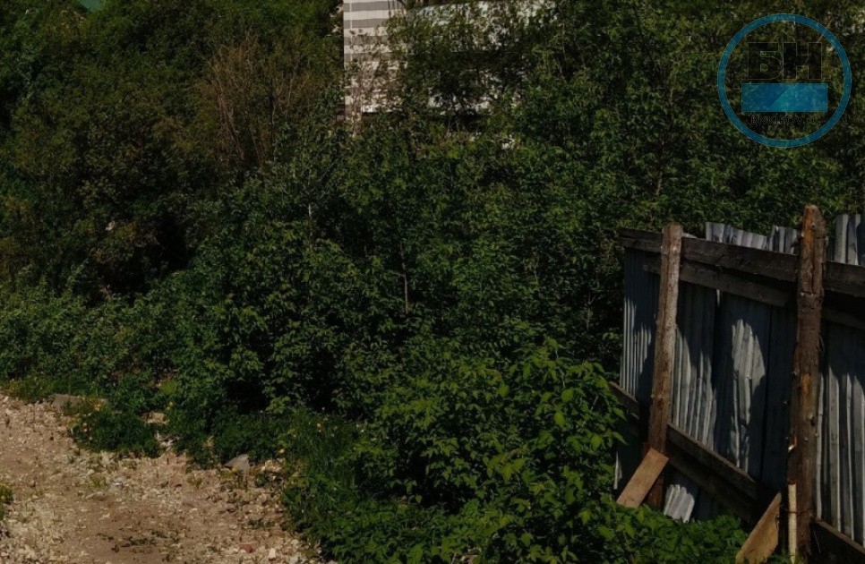 В Вятскополянском районе на торги выставили два здания бывшей школы В Вятскополянском районе на торги выставили два здания бывшей школы