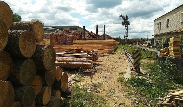 Арендаторы лесных участков могут использовать больше древесины