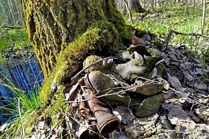 Эхо войны: 14 бойцов Красной Армии обрели вечный покой благодаря поисковикам ВятГУ
