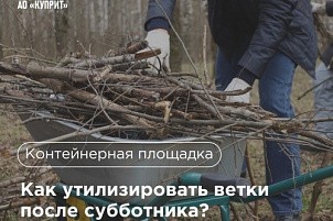 Кто отвечает за вывоз веток после субботника?