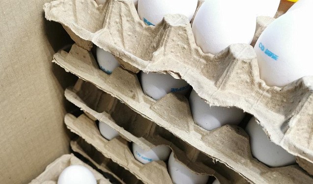 Соколов попросил Рогожкина проверить цены на яйца в Кировской области  